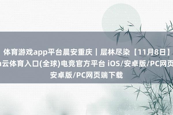 体育游戏app平台晨安重庆｜层林尽染【11月8日】-开yun云体育入口(全球)电竞官方平台 iOS/安卓版/PC网页端下载