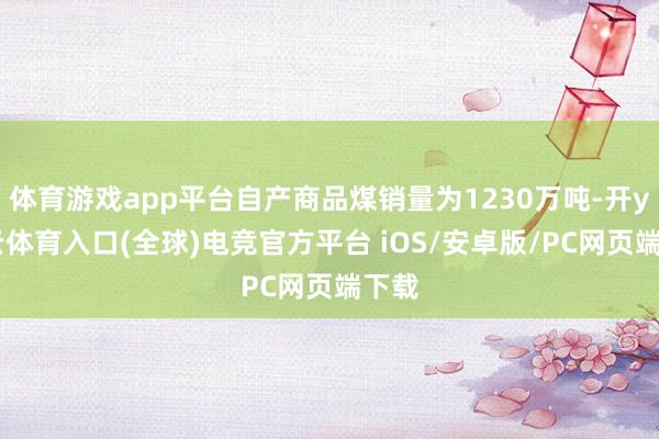 体育游戏app平台自产商品煤销量为1230万吨-开yun云体育入口(全球)电竞官方平台 iOS/安卓版/PC网页端下载